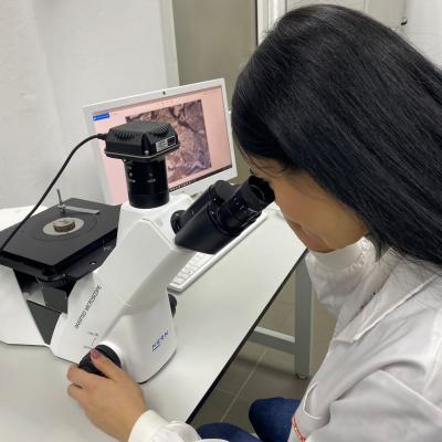 8c0beb4f 42ff 42c8 Bec7 2afee5ecc83e